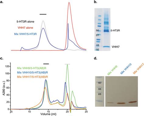 Example of co-elution on size-exclusion chromatography. In panels (a)... | Download Scientific ...