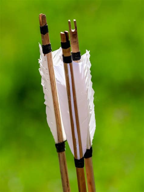 Arrow feathers for archery stock image. Image of traditional - 183148357