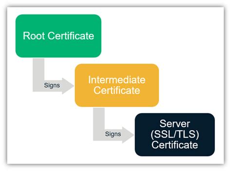 What Is an SSL Certificate Chain & How Does It Work? - InfoSec Insights