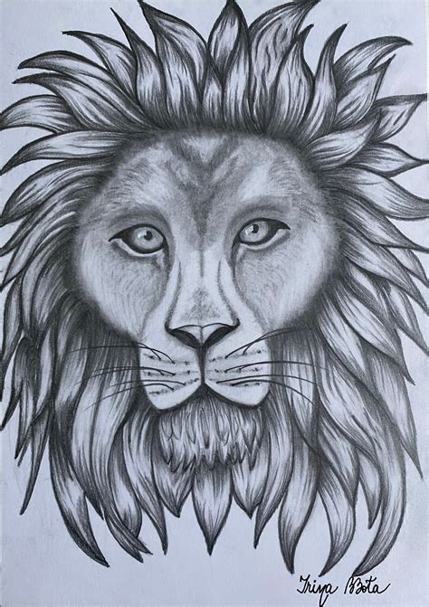 Lion Head In Pencil, Drawing by Irina Bbota | Artmajeur