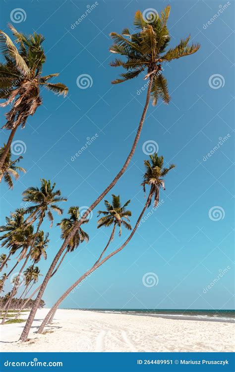 Al Haffa Beach at Salalah, Sultanate of Oman. Stock Image - Image of east, coast: 264489951