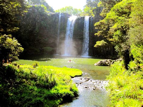 New Zealand - Whangarei Falls | Around the worlds, Travel around, Travel around the world