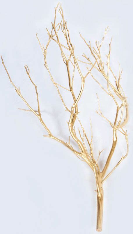 Dried Manzanita Branches - Painted Bulk Manzanita | Manzanita branches, Manzanita, Branch