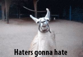 Haters GIFs - Find & Share on GIPHY