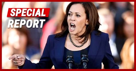 Kamala Harris 2024 Presidential Race - Aili Nikoletta