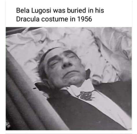 Bela Lugosi was buried in his Dracula costume in 1956 - iFunny