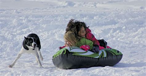 Humane Society: protect pets in cold weather | News | moraminn.com