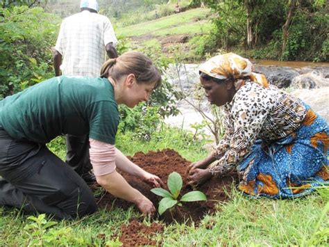 Celebrating the Green Belt Movement - Africa Global Radio