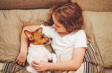 Why Dogs are called Human’s best friends? - Petsynse