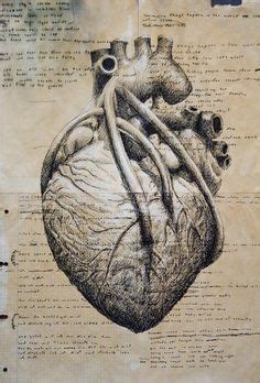 grey's anatomy book heart - Google Search | Anatomy art, Art, Heart art