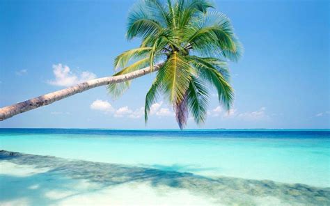 Relaxing Beach Wallpapers - Top Free Relaxing Beach Backgrounds ...