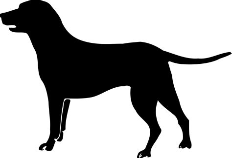 Black Dog PNG Transparent Images - PNG All