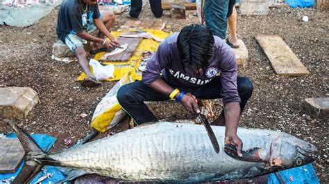 Live Fish Cutting Skills - Amazing Fish Fillets Masters - YouTube