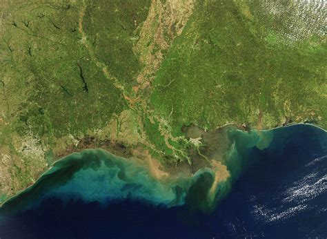 Research Shows How Gulf of Mexico Escaped Ancient Mass Extinction