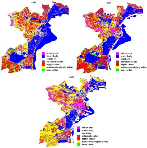 Salinization evolution dynamic of 1989, 2001, 2009 The classification ...