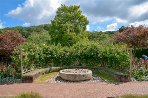 Buckfast : Buckfast Abbey Gardens © Lewis Clarke cc-by-sa/2.0 :: Geograph Britain and Ireland