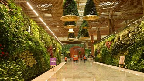 Video | KIA T2 brings garden and beauty back to Bengaluru airport - The ...