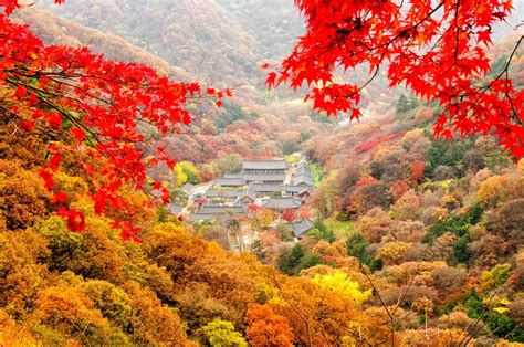 Baegyangsa temple in the mountains, South Jeolla Province, South Korea ...