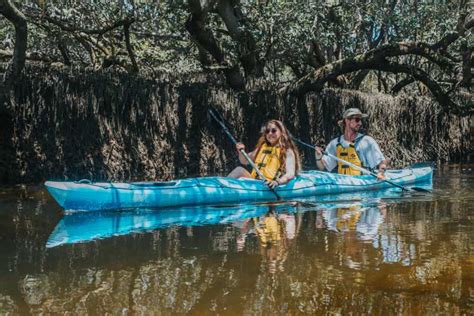 Adelaide: Dolphin Sanctuary Eco Kayaking Tour | GetYourGuide