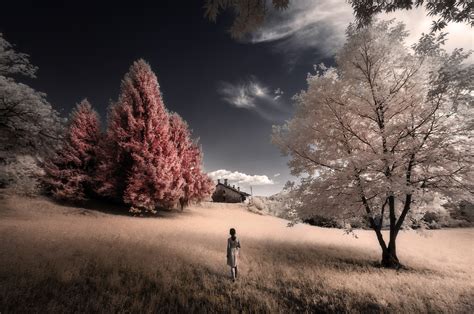 Infrared Photography - Unlocking Artistic Possibilities