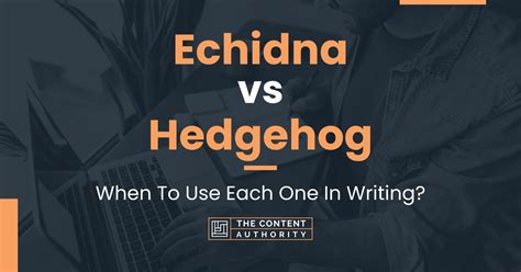 Echidna vs Hedgehog: When To Use Each One In Writing?