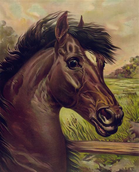 Vintage Horse Painting Free Stock Photo - Public Domain Pictures