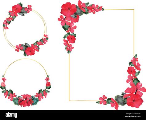 Floral geometric vector design frame. Red rose, camellia, ranunculus ...