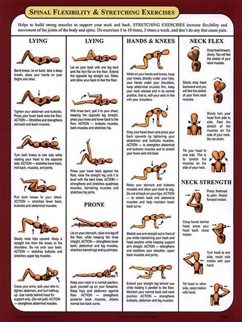 mckenzie exercises | Workout chart, Stretching exercises, Physical therapy