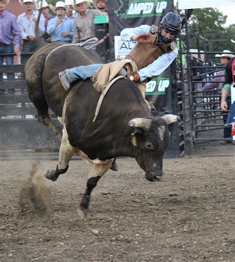 Amped Up Bull Riding Tour rides solo in California for 2022 | Jefferson ...