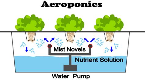 What is Aeroponics? - NoSoilSolutions