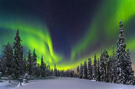 Fairbanks travel | Alaska, USA - Lonely Planet