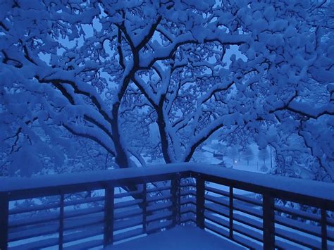 Blue Snowy Morning | Blue aesthetic pastel, Blue aesthetic, Winter scenery