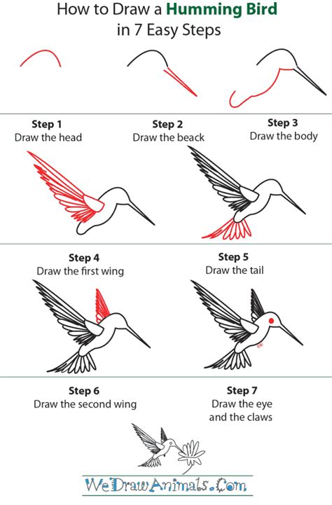 How to Draw a Hummingbird