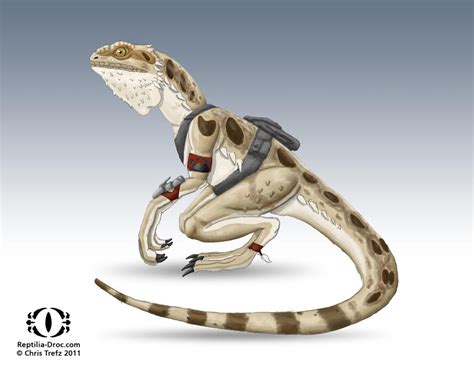 Reptilia Pogona by chris-illustrator on DeviantArt