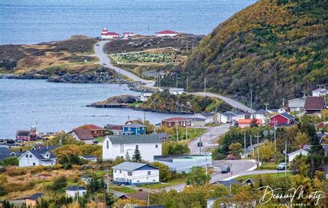 St. Anthony | Canada travel, Newfoundland, Newfoundland and labrador