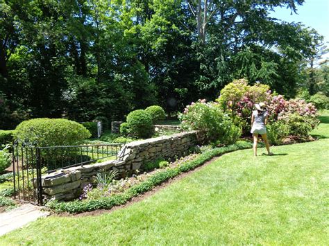 Hidden no more: Glorious Fairfield gardens showcased on sunny Sunday tour