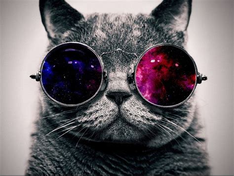 galaxy cat with glasses Memes - Imgflip