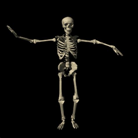 exercising with mr skeltal is good for ur calcium : ledootgeneration