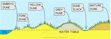 Coastal Landforms | CIE IGCSE Geography Revision Notes 2020