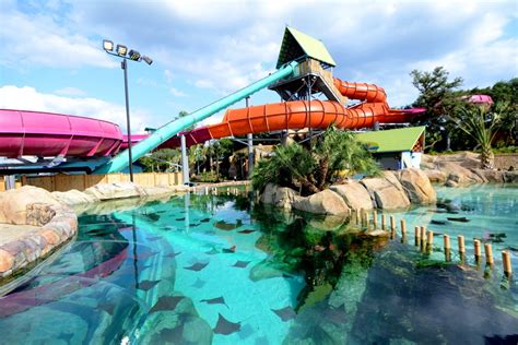 SeaWorld San Antonio to Make Aquatica a Standalone Park and Offer ...