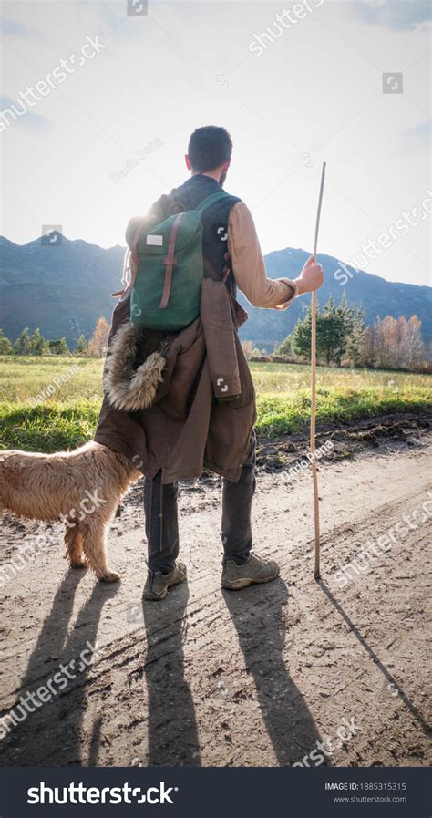 Young Man Hiking His Dog Stock Photo 1885315315 | Shutterstock