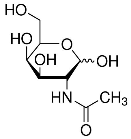 N-Acetyl-D-galactosamine | Sigma | CAS No.1811-31-0