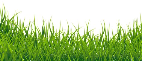 Grass clipart transparent background, Grass transparent background Transparent FREE for download ...