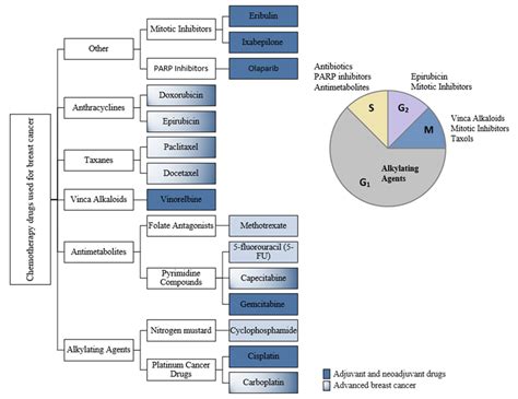 Classification Of Chemotherapy Drugs