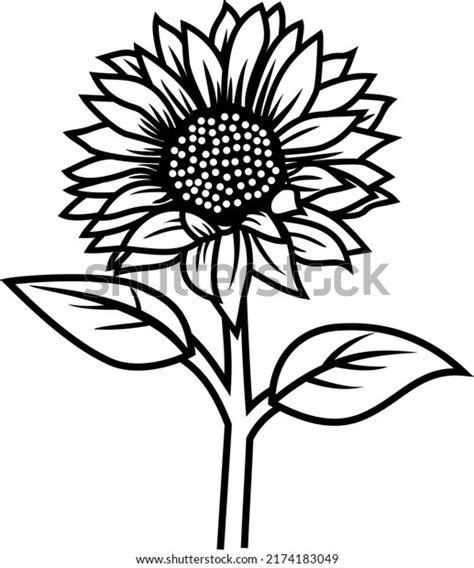 Sunflower Clip Art Black And White