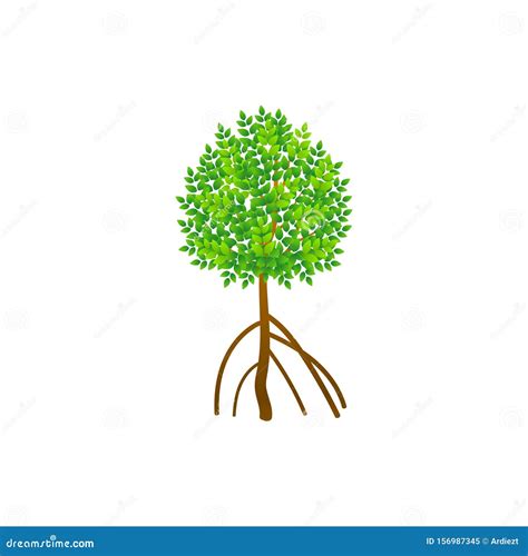 Tree and Roots Vector, Mangrove Tree Illustration, Mangrove Plant Stock Vector - Illustration of ...