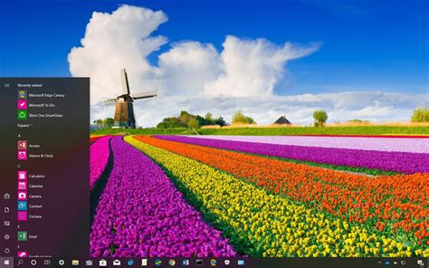 Fields Of Flowers theme for Windows 10 (download) - Pureinfotech