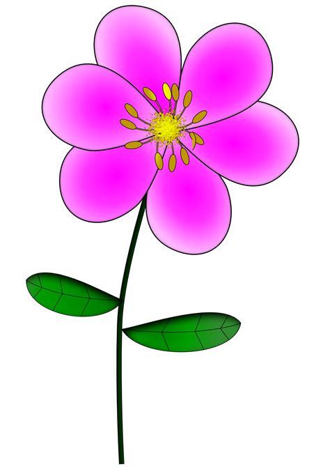 Pink Flowers Clipart - Cliparts.co
