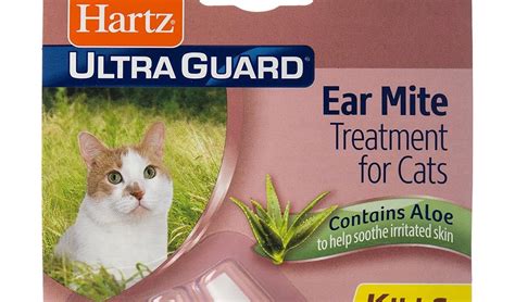 Ear Mite Medicine For Cats - PetsWall