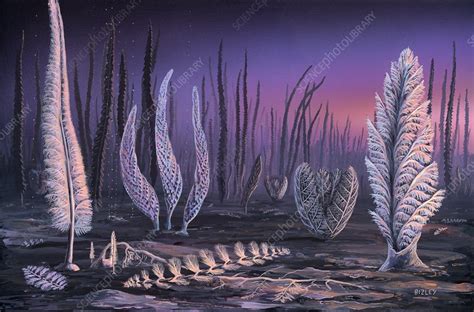 Pre-Cambrian life forms, illustration - Stock Image - C024/4522 - Science Photo Library